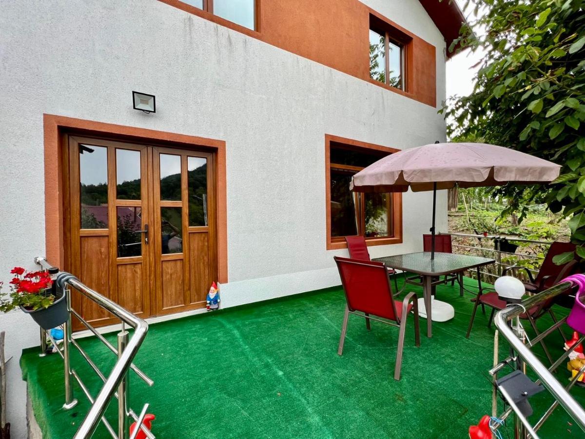 Casa Camelia Villa Nehoiu Exteriör bild
