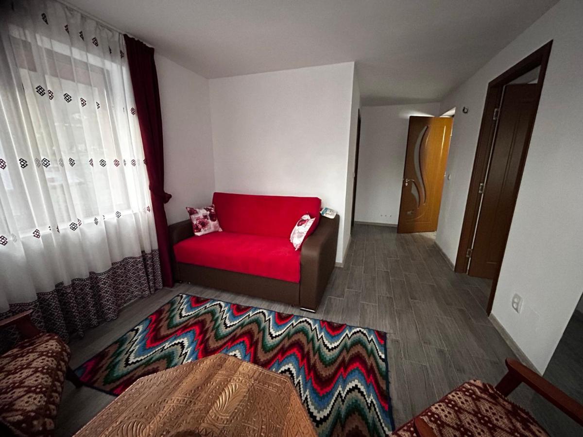Casa Camelia Villa Nehoiu Exteriör bild
