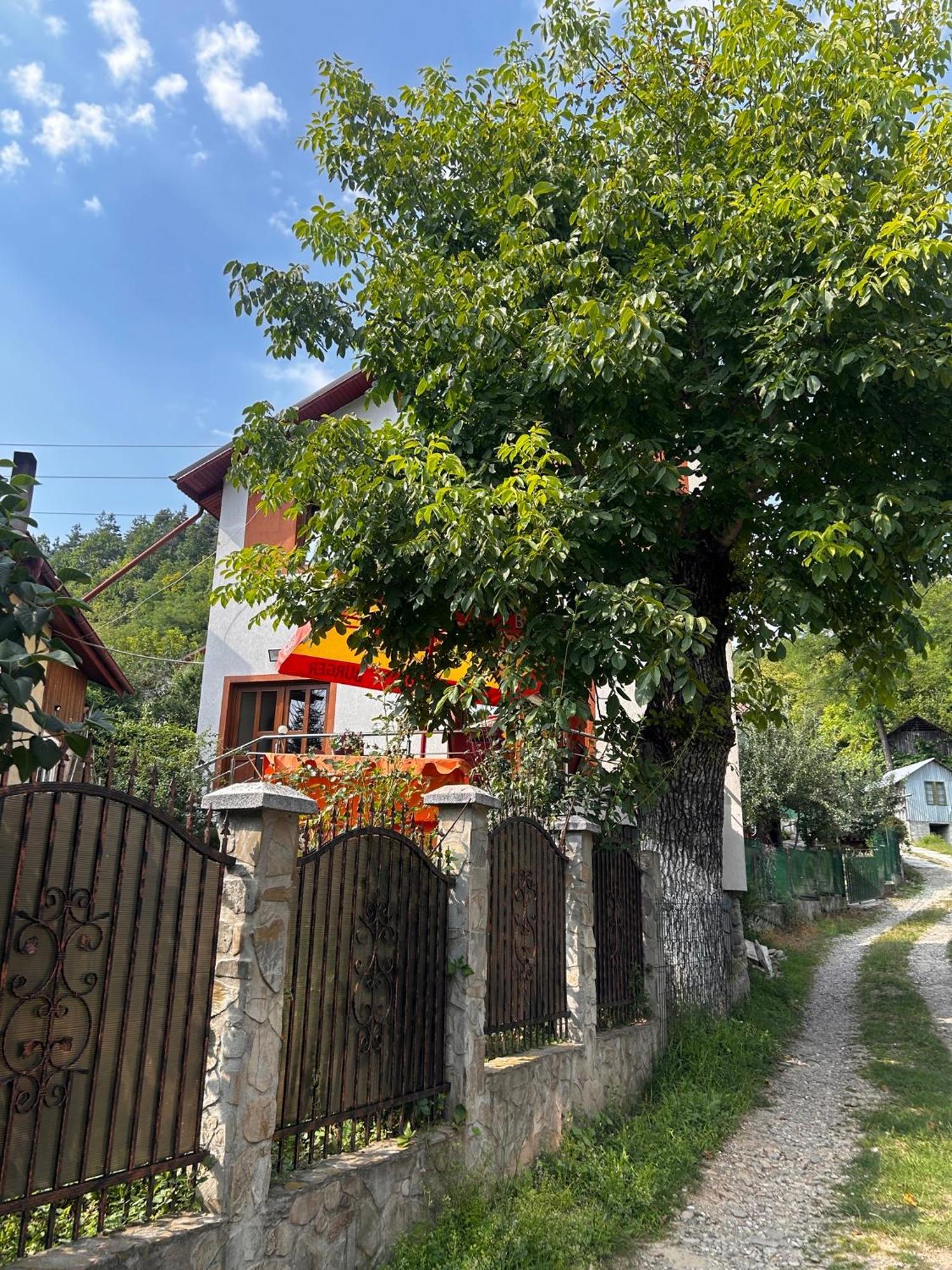 Casa Camelia Villa Nehoiu Exteriör bild