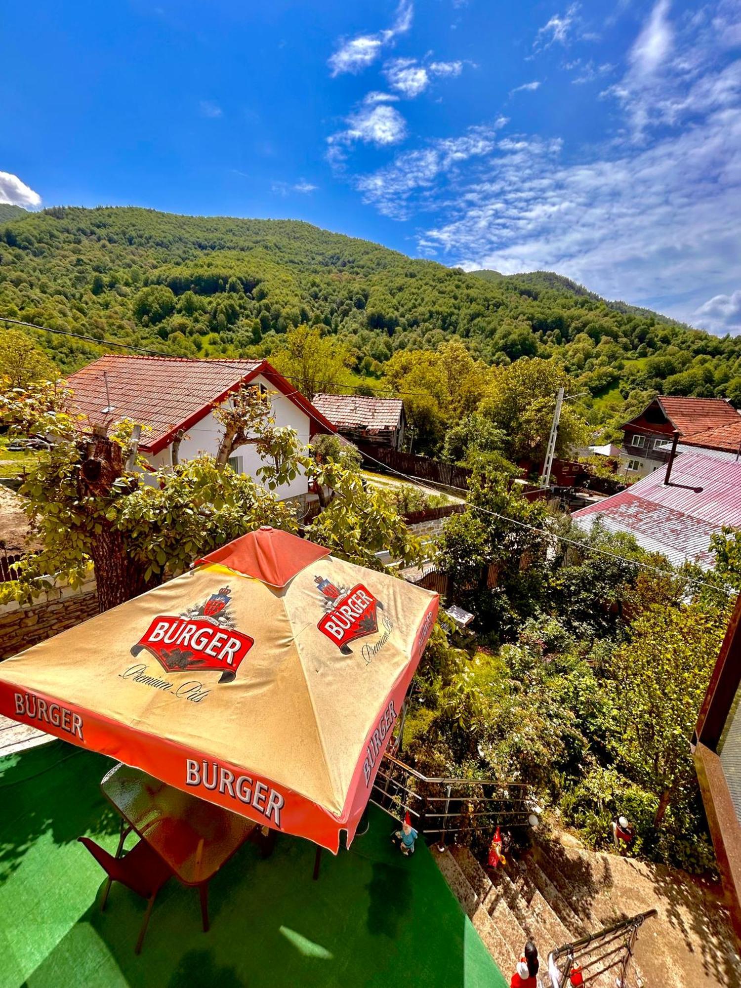 Casa Camelia Villa Nehoiu Exteriör bild